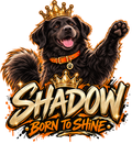 Shadow Born to Shine DTF Transfer artwork
